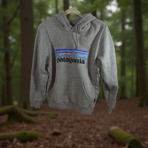 Patagonia Sweatshirt Mens XS Uprisal Hoodie Fitz Roy Logo Graphic Pullover